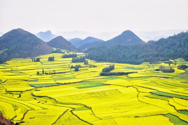 全年旅行攻略来喽，一年12个月最佳旅行地推荐，看遍国内美景