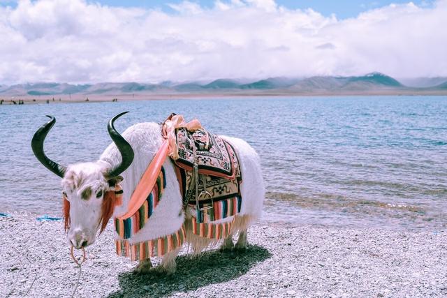 全年旅行攻略来喽，一年12个月最佳旅行地推荐，看遍国内美景