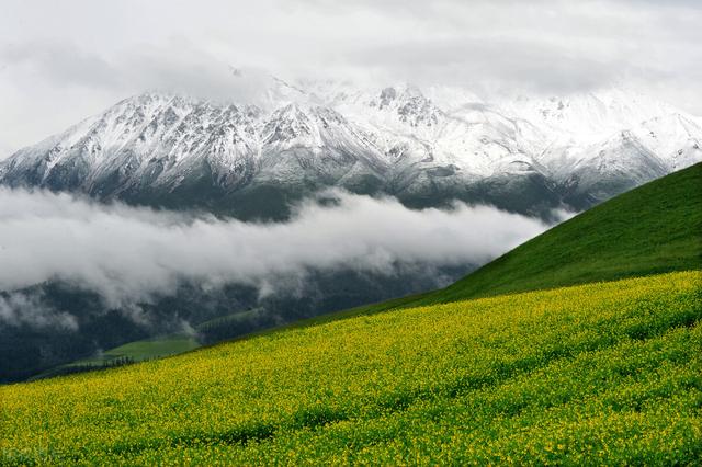 全年旅行攻略来喽，一年12个月最佳旅行地推荐，看遍国内美景