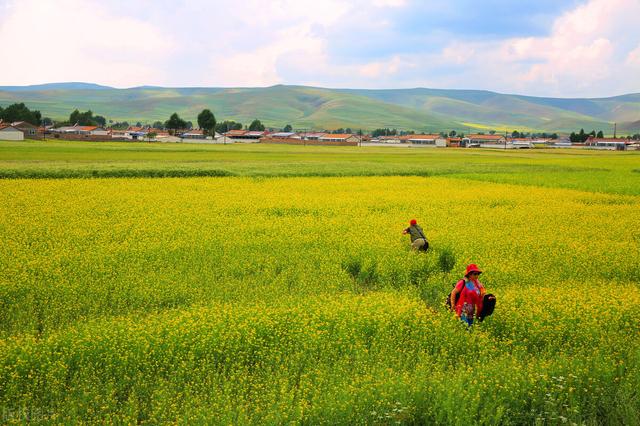 全年旅行攻略来喽，一年12个月最佳旅行地推荐，看遍国内美景