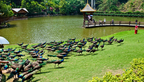 去云南旅游最佳路线,云南旅游哪些是必去的景点？有什么好建议？图2