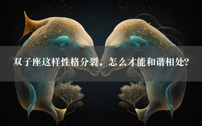 双子座这样性格分裂，怎么才能和谐相处？