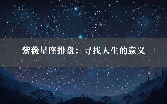 紫薇星座排盘：寻找人生的意义