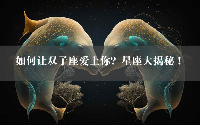 如何让双子座爱上你？星座大揭秘！