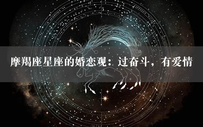 摩羯座星座的婚恋观：过奋斗，有爱情