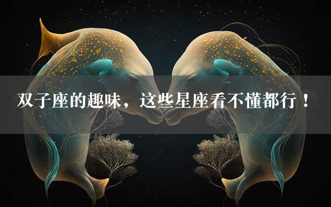 双子座的趣味，这些星座看不懂都行！