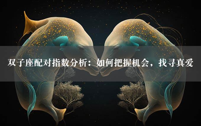 双子座配对指数分析：如何把握机会，找寻真爱