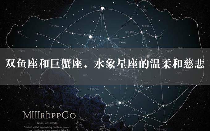 双鱼座和巨蟹座，水象星座的温柔和慈悲