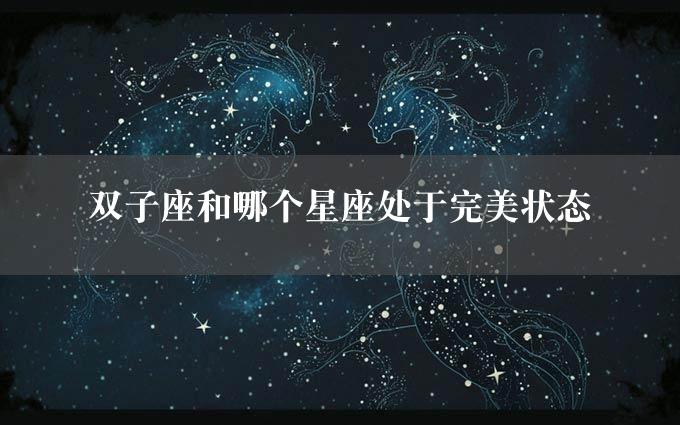 双子座和哪个星座处于完美状态