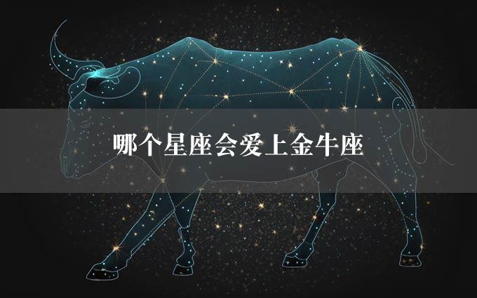 哪个星座会爱上金牛座