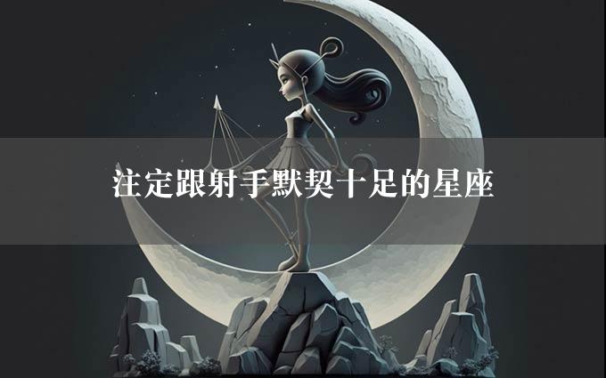 注定跟射手默契十足的星座