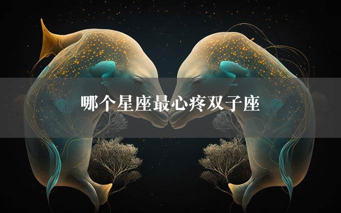 哪个星座最心疼双子座