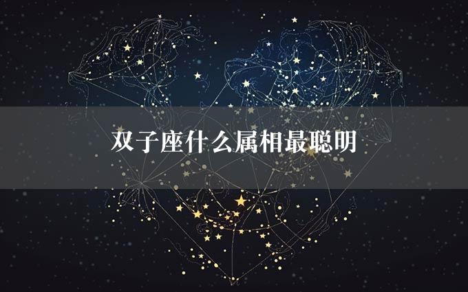 双子座什么属相最聪明