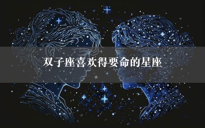 双子座喜欢得要命的星座