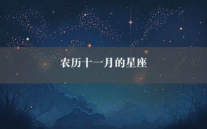 农历十一月的星座