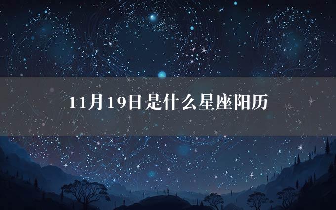 11月19日是什么星座阳历