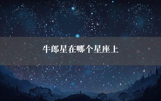 牛郎星在哪个星座上