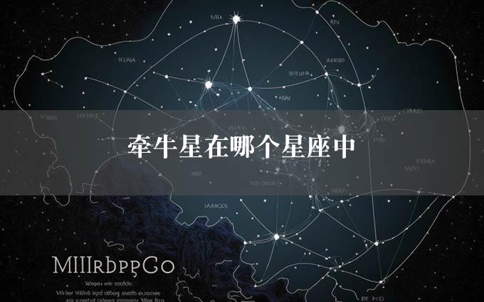 牵牛星在哪个星座中