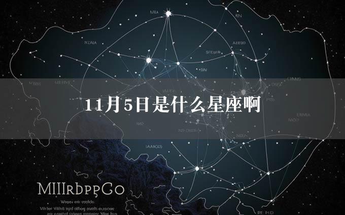 11月5日是什么星座啊