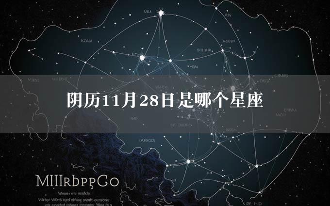 阴历11月28日是哪个星座